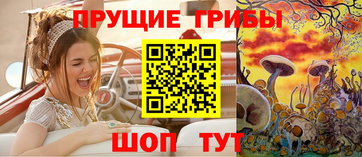 Шатура  Галлюциногенные грибы Cubensis  Вход с VPN 